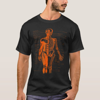 Camiseta Naranja Médica de anatomía muscular corporal human