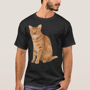Camiseta Naranja Tabby Cat T-Shirt