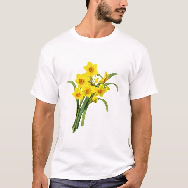 Camiseta Narciso (N Tazetta) (Anverso)