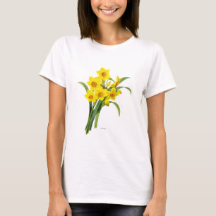 Camiseta Narciso (N Tazetta)