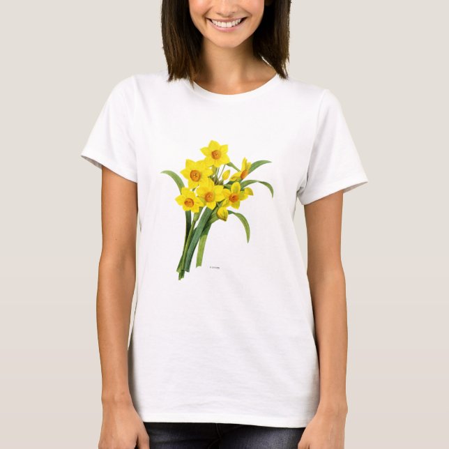 Camiseta Narciso (N Tazetta) (Anverso)