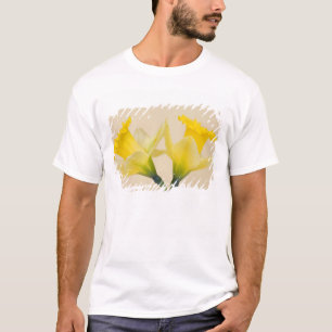 Camiseta Narcisos amarillos