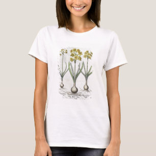Camiseta Narcisos de Tazetta, del 'Hortus el Eystettensis