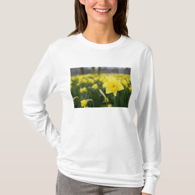 Camiseta Narcisos (RF) (Anverso)