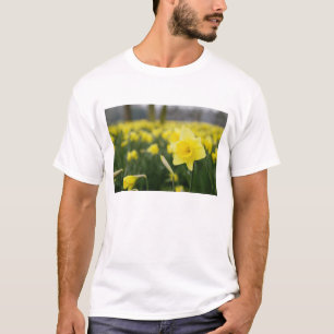Camiseta Narcisos (RF)