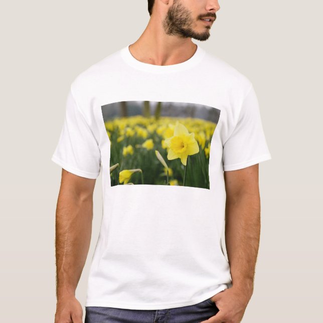 Camiseta Narcisos (RF) (Anverso)