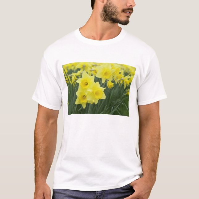 Camiseta Narcisos RF) (Anverso)
