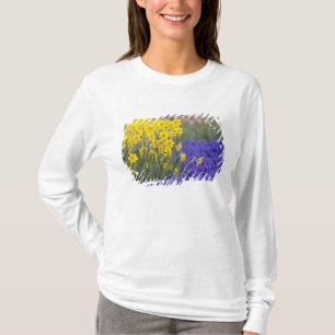 Camiseta Narcisos y jacintos de uva, Keukenhof 3