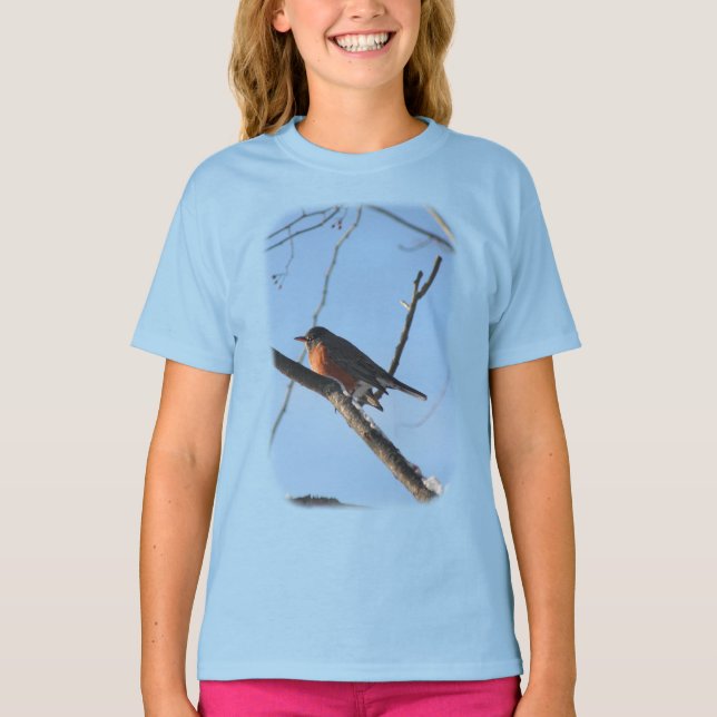 Camiseta Naturaleza animal Robin de invierno  (Anverso)