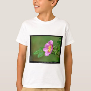 Camiseta Naturaleza del amor Rosa silvestre Tormenta de pri