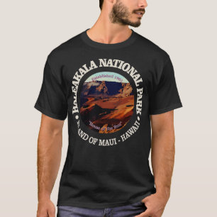 Camiseta Naturaleza vintage Parque nacional Haleakala Moun 