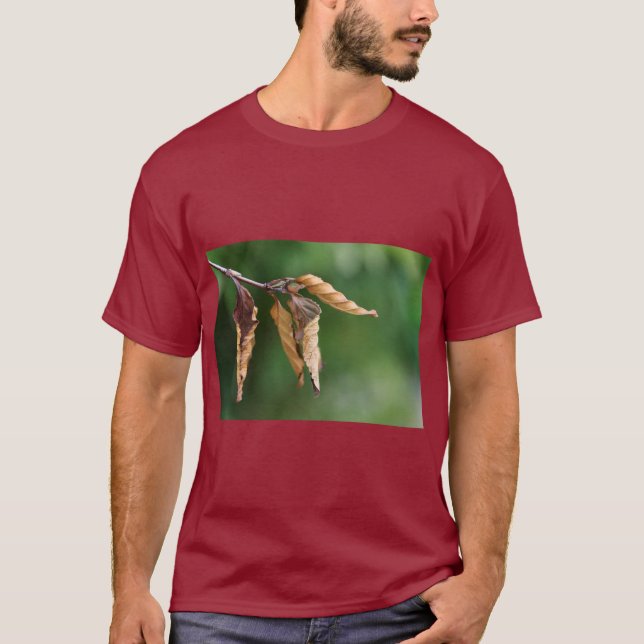 Camiseta Nature-Inspired Leaves Print Tee (Anverso)