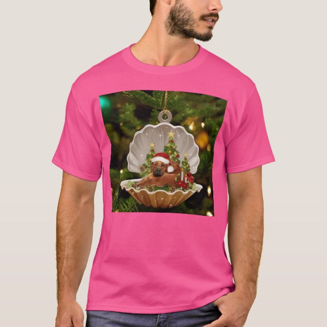 Camiseta Navidades con regalo de dachshund (Anverso)