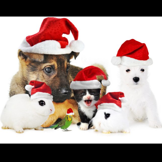 Camiseta Navidades de animales (A group of pets wearing Santa hats!)
