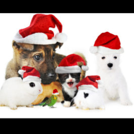 Camiseta Navidades de animales