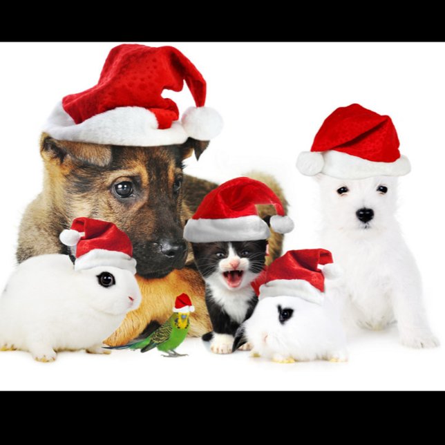 Camiseta Navidades de animales (Fun Festive Style Red Hats Cute T-Shirt!)