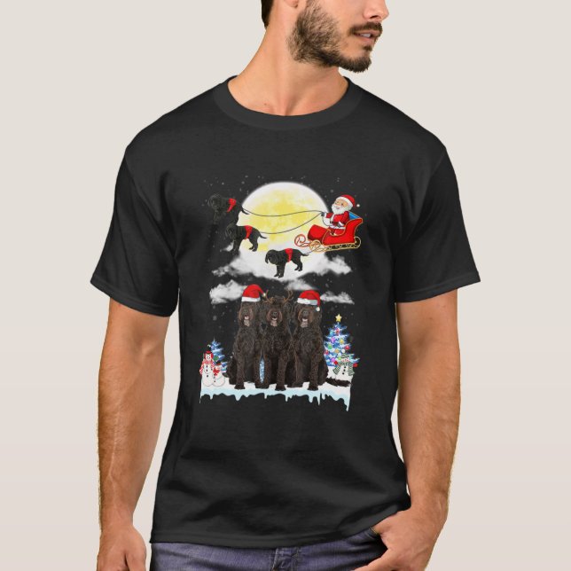 Camiseta Navidades de Barbet Dog Santa Sleigh (Anverso)