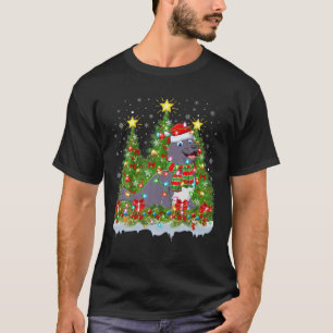 Camiseta Navidades de foca divertidos del árbol de navidad