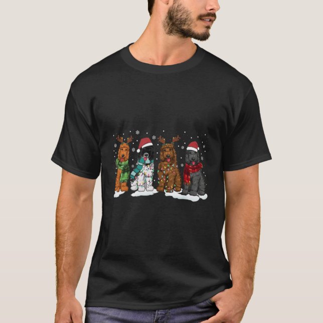 Camiseta Navidades de perros Goldendoodle iluminan Doodle d (Anverso)