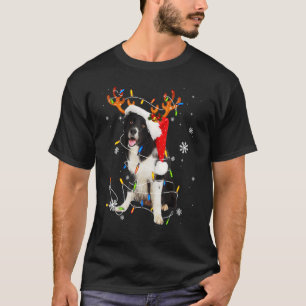 Camiseta Navidades de Santa Reindeer Border Collie Navidad