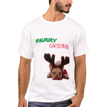 Navidades divertidos de Guay