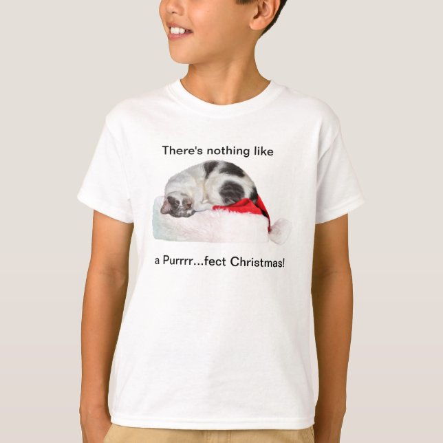 Camiseta Navidades, gato durmiente, Santa Hat (Anverso)