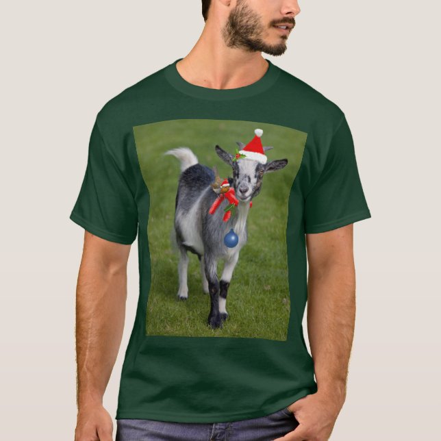 Camiseta Navidades Pals Tee (Anverso)