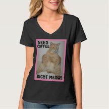 ¡Necesito Café De Acuerdo! Sleepy Eyed Manx Cat