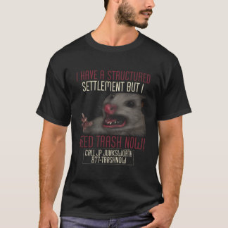 Camiseta Necesito Calor Ahora, Humor De La Crema De Opossum