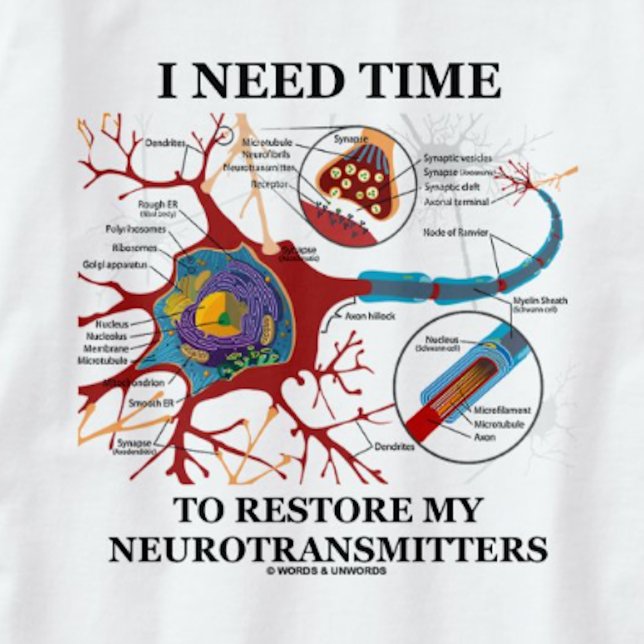Camiseta Necesito Tiempo Para Restablecer Mis Neurotransmis (Tee featuring neuron/synapse for anyone who needs time to restore his or her neurotransmitters)