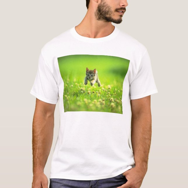 Camiseta neko (Anverso)