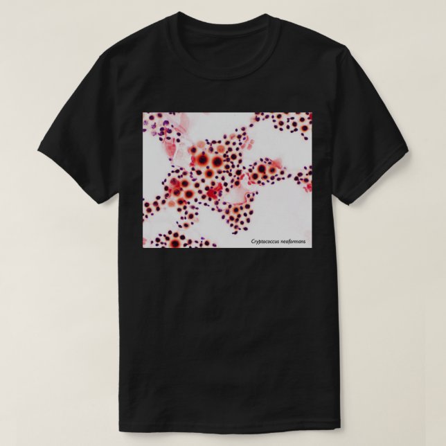 Camiseta Neoformanos de criptococo (Diseño del anverso)