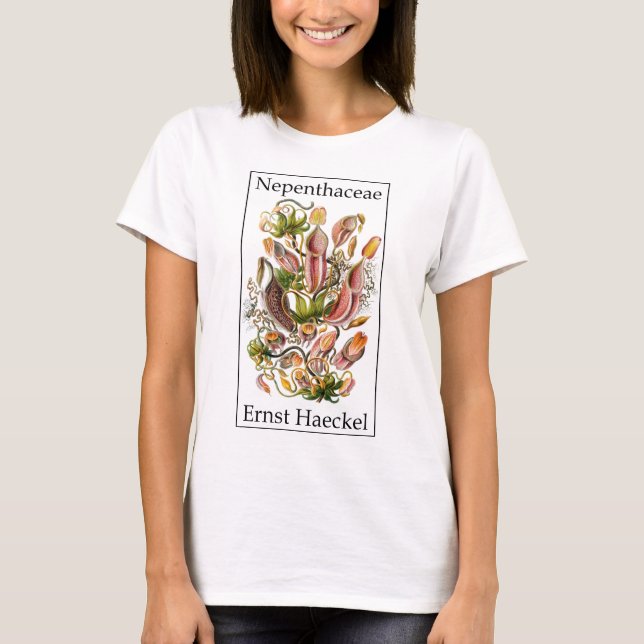 Camiseta Nepenthaceae de Ernst Haeckel (Anverso)