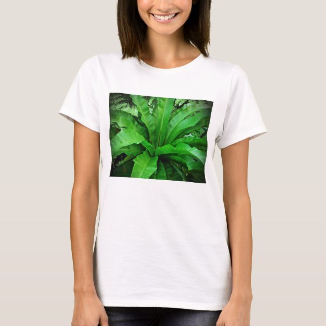 Camiseta Nest Fern de pájaro (Anverso)