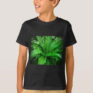 Camiseta Nest Fern de pájaro