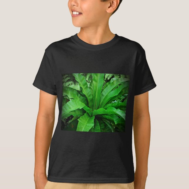Camiseta Nest Fern de pájaro (Anverso)