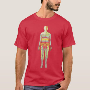 Camiseta Neurología sensorial dermatoma anatomía T-Shir méd