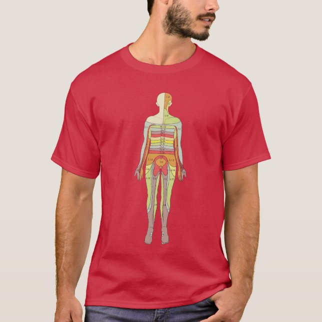 Camiseta Neurología sensorial dermatoma anatomía T-Shir méd (Anverso)