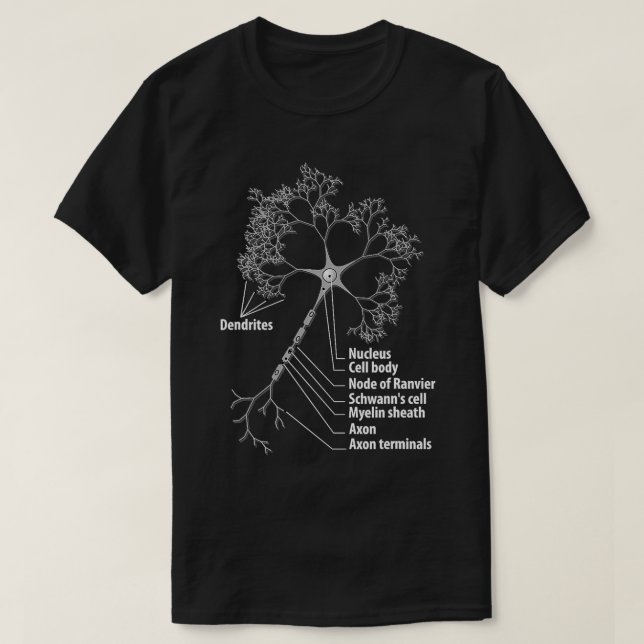 Camiseta Neuron Biology Neuroscience 1718 (Diseño del anverso)