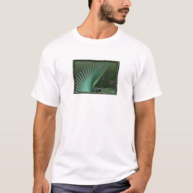 Camiseta Neverglades (Anverso)