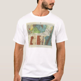 Camiseta New México y Colorade