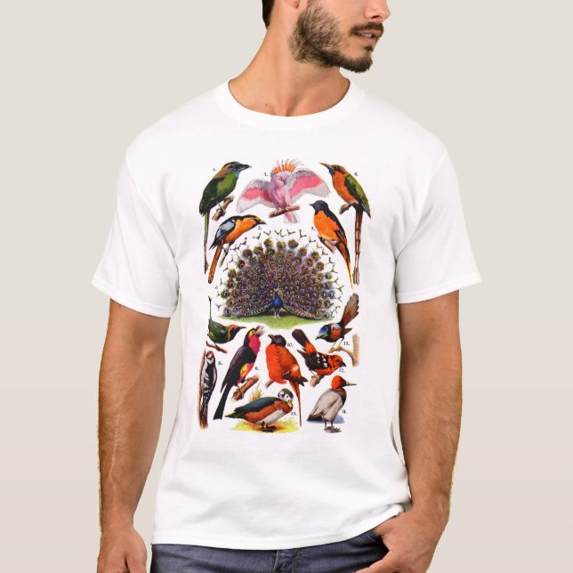 Camiseta newartsweb - Birds of a Feather (Anverso)