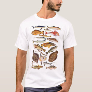Camiseta newartsweb - tan muchos más pescados, tan poca