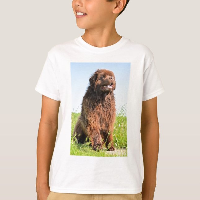 Camiseta newfie sitting.png (Anverso)