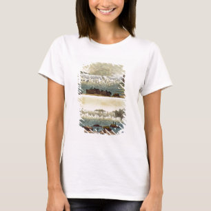 Camiseta Niagara Falls, 1818 (grabado del color)
