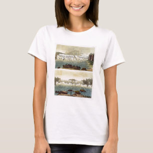 Camiseta Niagara Falls, 1818 (grabado del color)