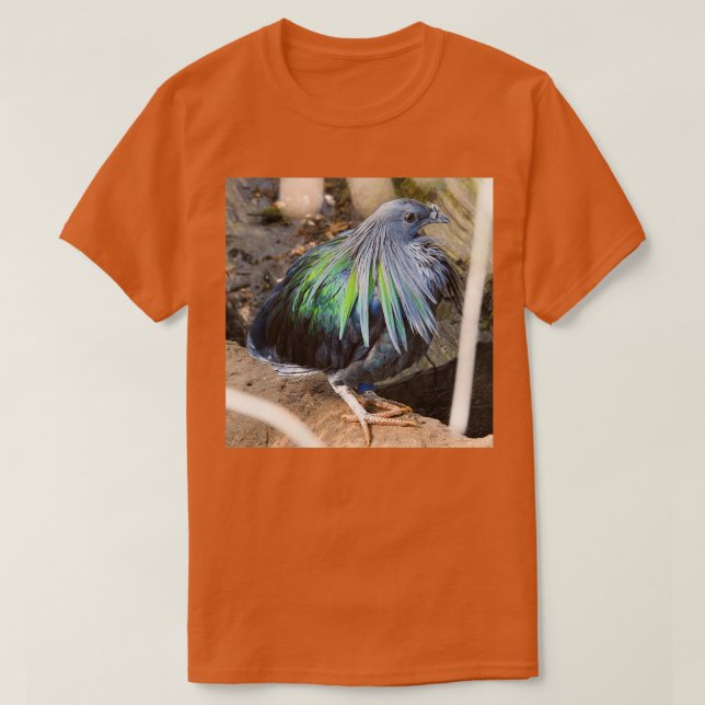 Camiseta Nicobar 4 (Diseño del anverso)