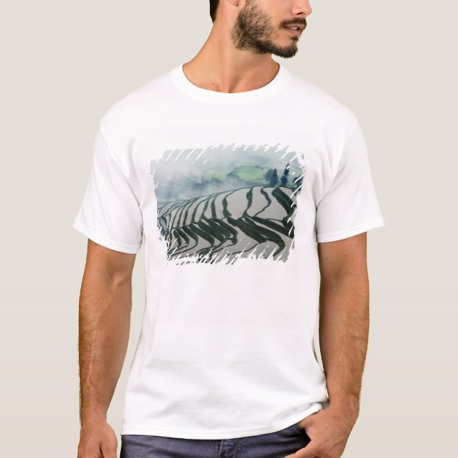 Camiseta Niebla de la mañana sobre campos del arroz (Anverso)