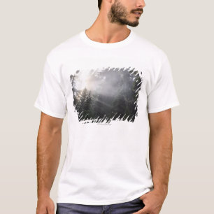 Camiseta Niebla y haces de Sun en un bosque de Washington