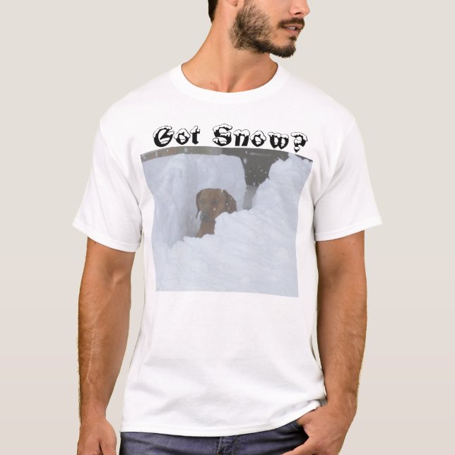 Camiseta ¿Nieve conseguida? (Anverso)